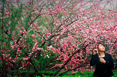 女教师节祝福语短句