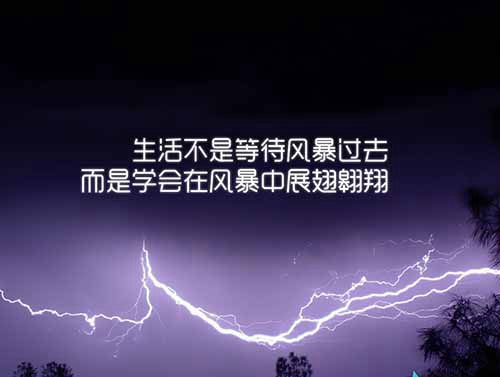 春雨绵绵的唯美句子情感