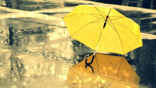 友情感恩句子英文 友情感恩句子英文