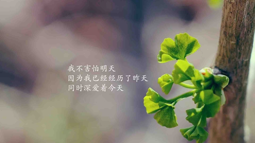 分手之后疗伤的句子