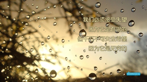 社会祝福语大全简短10个字