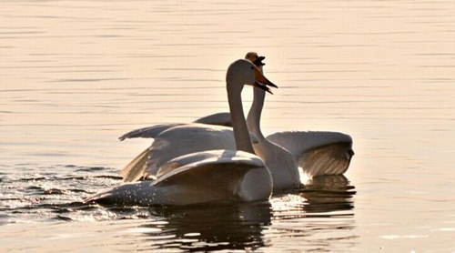 车祸说说句子 车祸说说句子