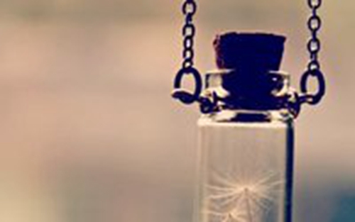 抖音网名英文可爱