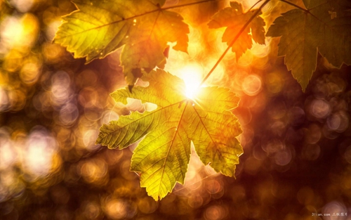 关于语句的说说句子 关于语句的说说句子