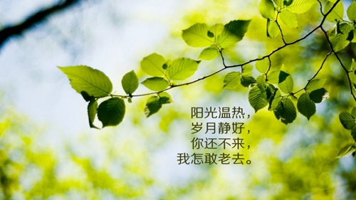 关于理由的说说句子