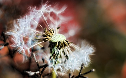 中秋节短信息