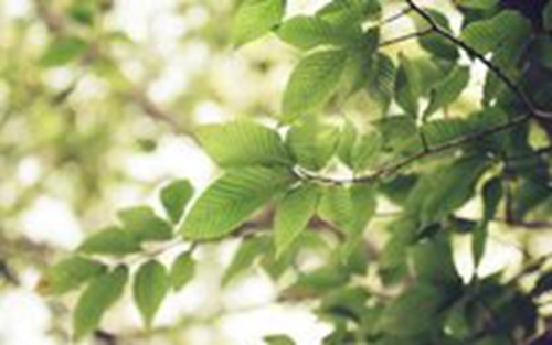 幽默表达爱情的语句 幽默表达爱情的语句