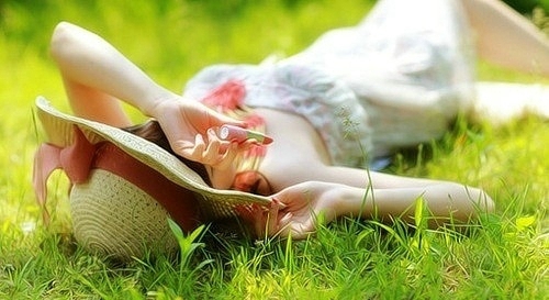 菊的好句子赏菊的好词好句 唯美励志句子