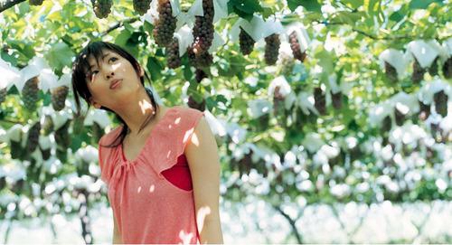 祝福银桥乳业的生意兴隆的句子 祝福银桥乳业的生意兴隆的句子