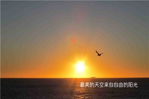 亲情友情的句子