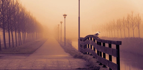 给长辈的祝福语2024 给长辈的祝福语2024