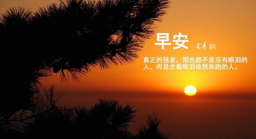 除夕表白的句子