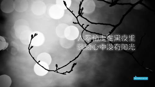 骗一辈子搞笑说说大全句子 骗一辈子搞笑说说大全句子