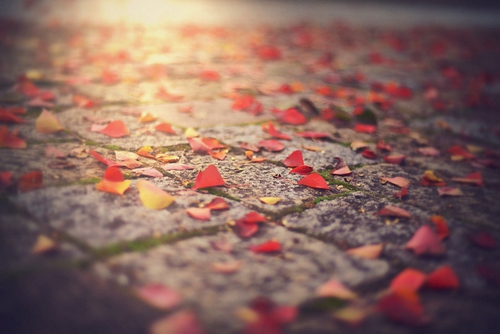 31岁个性签名 31岁个性签名