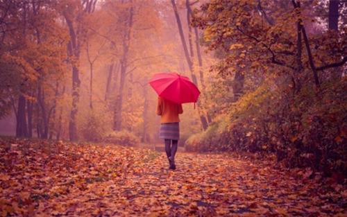 下雨好冷的说说短语