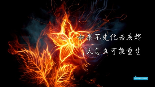 《有关追寻爱情的经典语句》推荐10句 《有关追寻爱情的经典语句》推荐10句