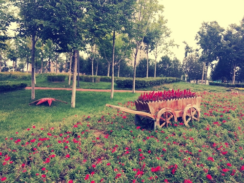 情书表白文案温柔 情书表白文案温柔