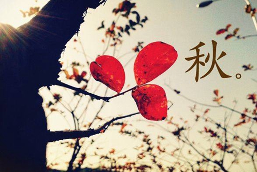 用英文给老师中秋节的祝福语(推荐10句) 用英文给老师中秋节的祝福语(推荐10句)