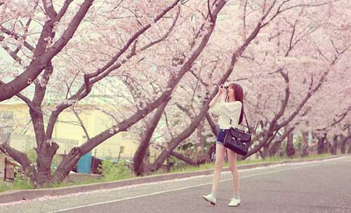 愿你天天幸福,平安快乐一整年! 愿你天天幸福,平安快乐一整年!