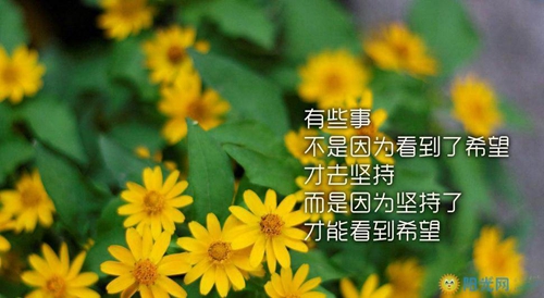 关于成长的优美句子100