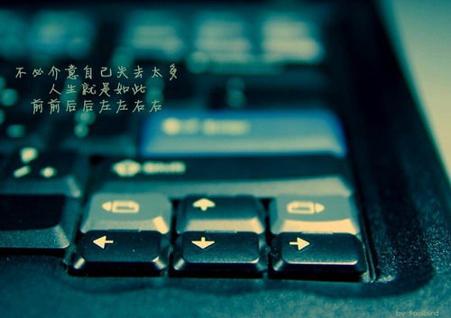 金婚佟志网名叫什么(精选20组) 金婚佟志网名叫什么(精选20组)