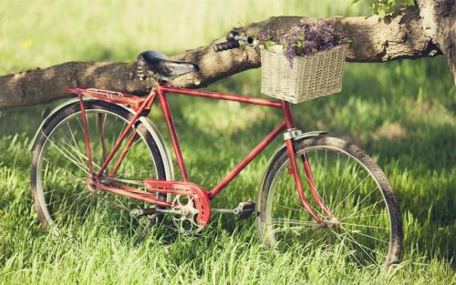 失恋的短句子说说心情 失恋的短句子说说心情