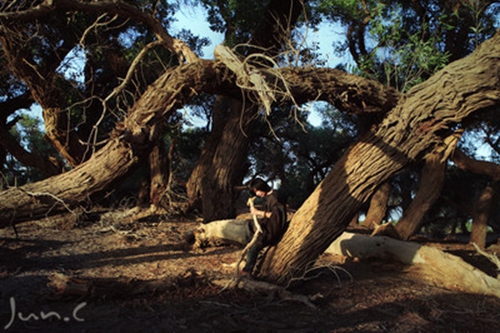 跨年给对象说的句子 跨年给对象说的句子