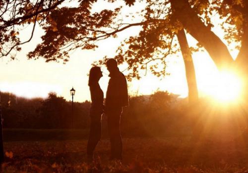 精选15条社会的经典句子 精选15条社会的经典句子