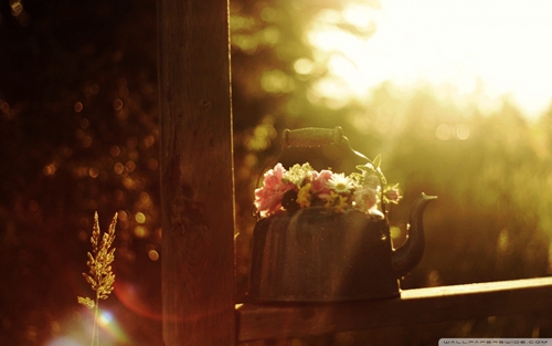 失恋之后励志的句子 失恋之后励志的句子