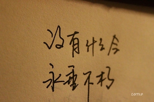 有关语句的感动句子 有关语句的感动句子