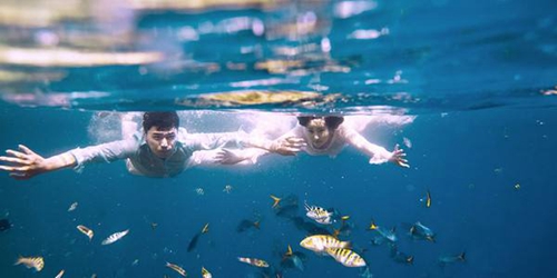 关于年轻的说说句子 关于年轻的说说句子