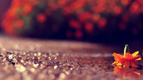 带符号的网名女伤感霸气 带符号的网名女伤感霸气