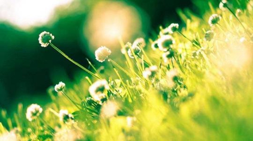 《张超老师毕业祝福语》精选15句 《张超老师毕业祝福语》精选15句